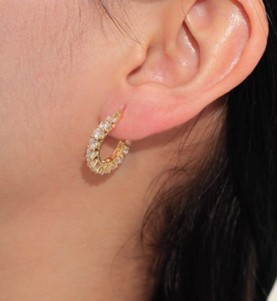 Paola Earrings